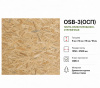 OSB-3 (ОСП) 12 мм 1220*2440
